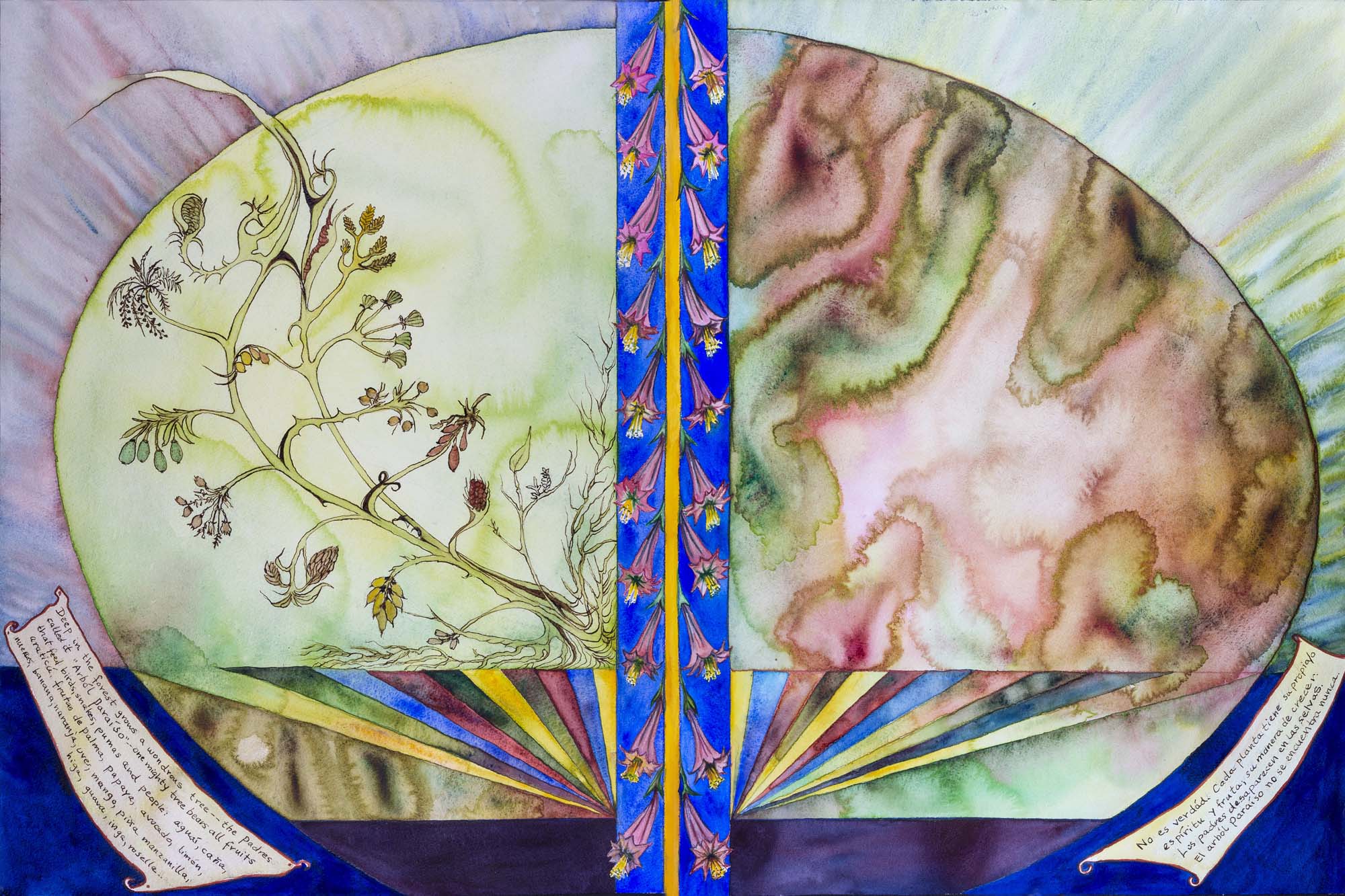 Tree of Life 2017, watercolor, prismacolor, ink on paper. Diptych. 24 x 36 in