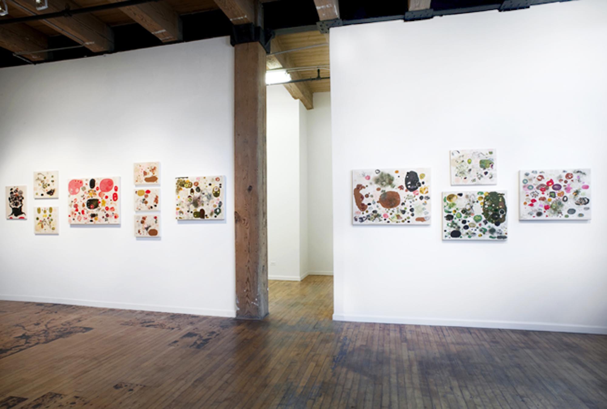 Installation view 