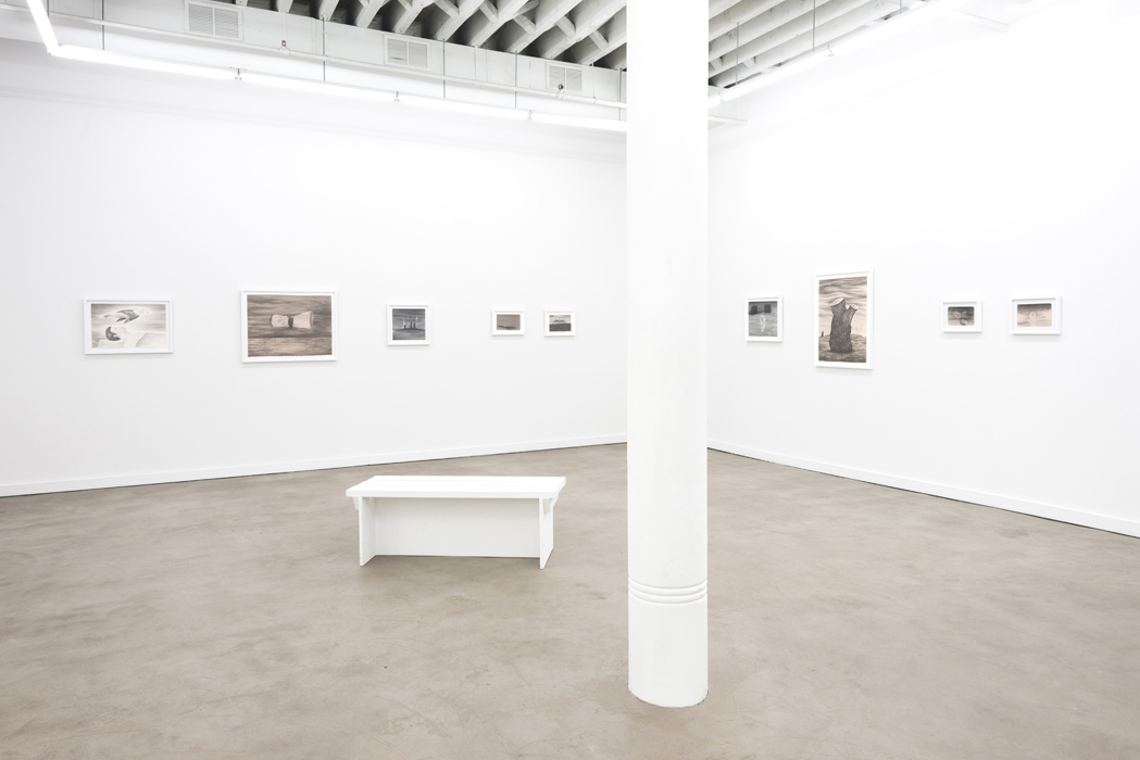 Installation view, The Lost Show at Western Exhibitions, 2016