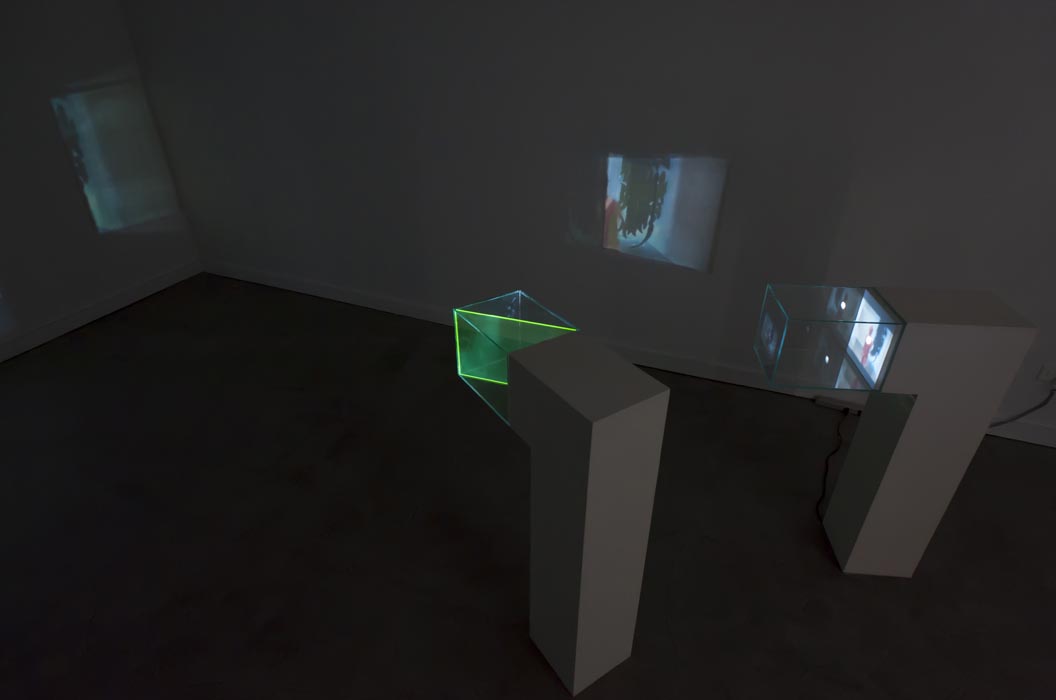 For Lost Walls (installation view) 2012, video projection, custom-made pedestals and plexiglass vitrines, iridescent acrylic paintdimensions variable