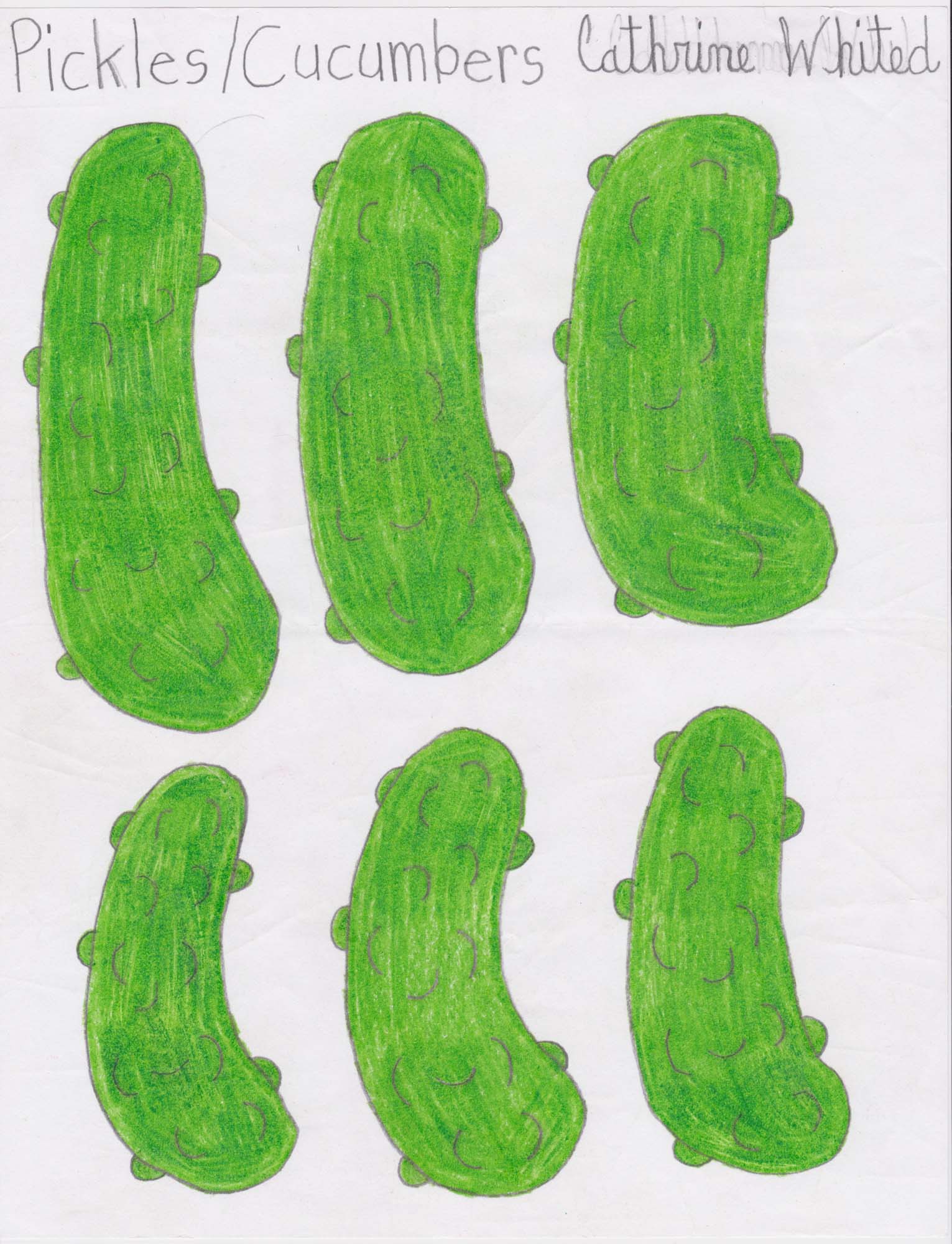 Cathrine Whited "Pickles," 2018. Coloured pencil on bond paper, 8 1/2h x 11w in.