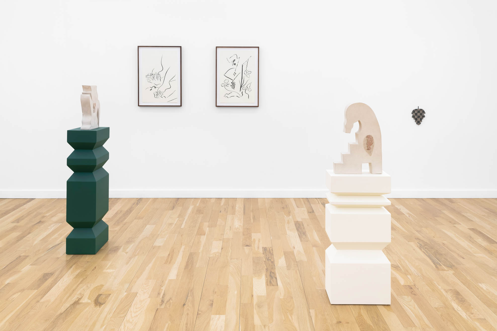 Installation view : Lilli Carré: Arrangement in the Steps of a Horse