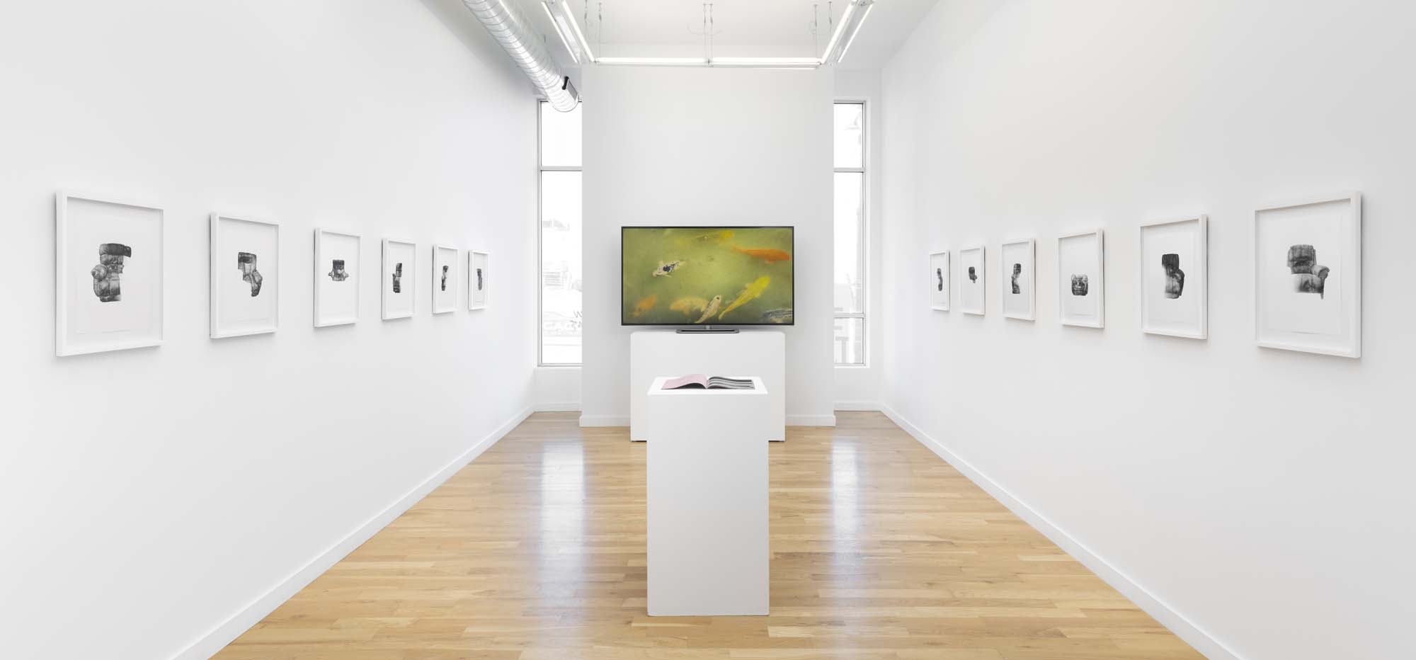 Installation view, A Lazy Love 