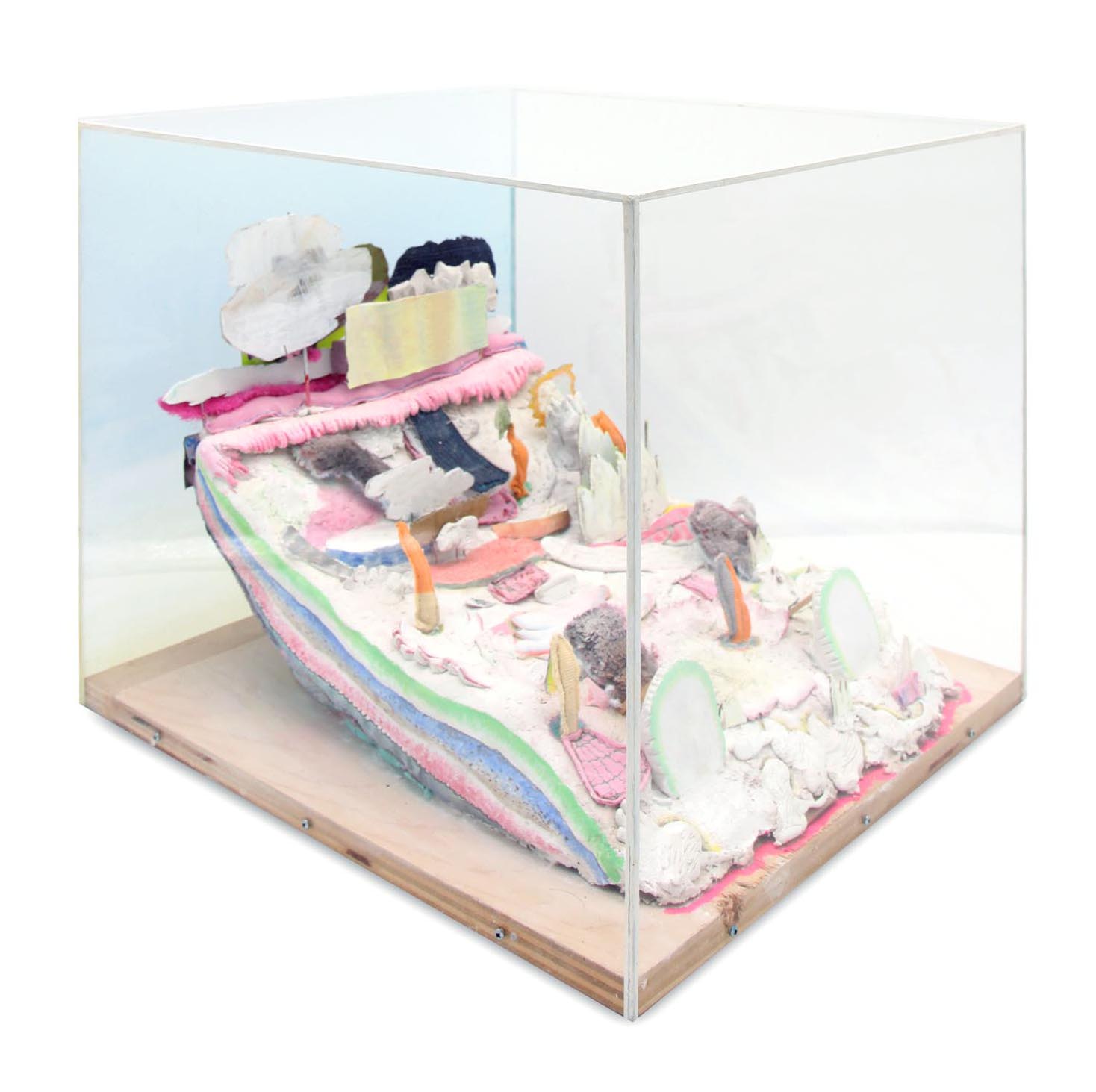 Piece of Skin From My Forehead Enlarged Quite A Bit , 2024, Clay, paper mache, plaster, sewn fabric, cardboard, paint, plexiglas, wood, 15h x 16w x 18d in 